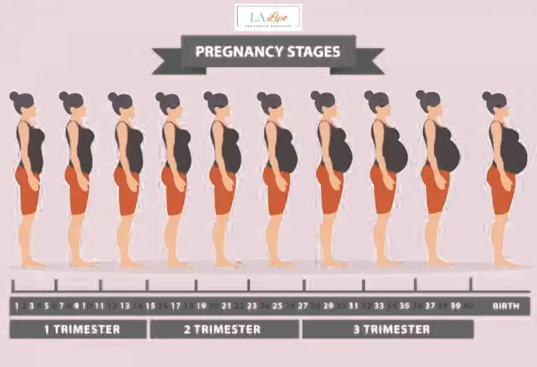 First Trimester (Weeks 1–12): Early Changes You Might Not Notice Golders Green
